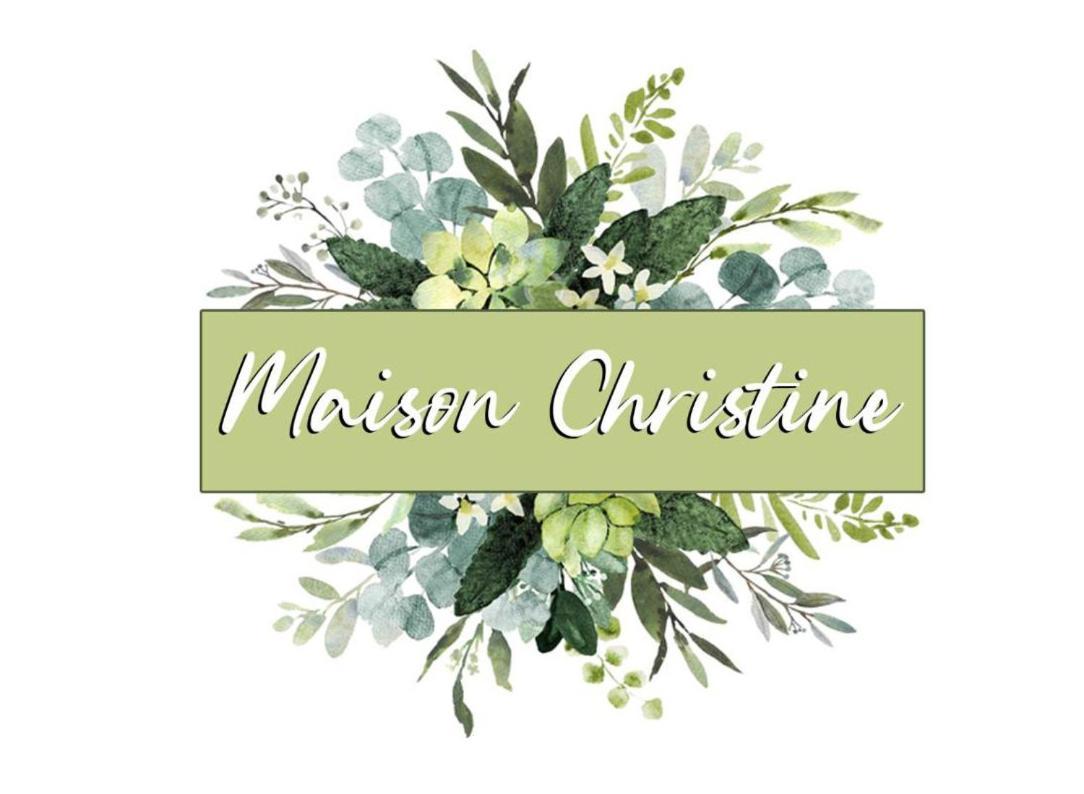 Maison Christine Turin Extérieur photo